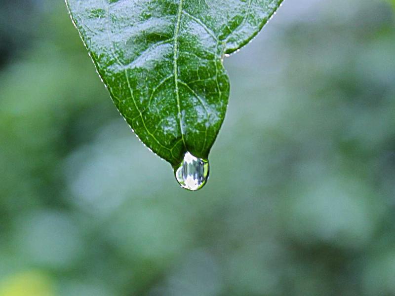 水墨抽象<br>qyw0fsis.cn 赵无极狂草